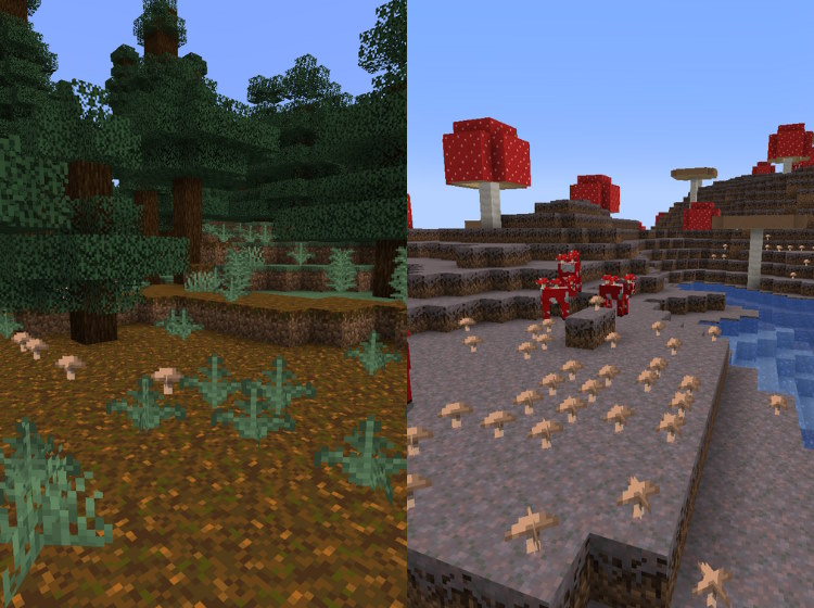 Biomes where mushrooms naturally spawn in the Overworld in Minecraft