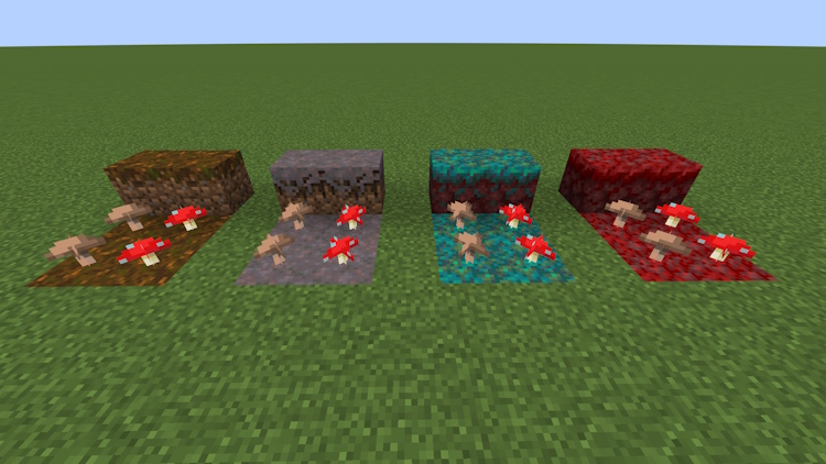 Champignons Plantés Sur Des Blocs De Podzol, Mycélium Et Nylium Dans Minecraft