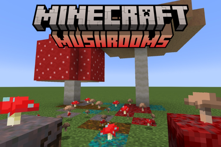 How to Grow Mushrooms in Minecraft

https://beebom.com/wp-content/uploads/2023/07/Mushrooms-Minecraft-featured-image.jpg?w=750&quality=75