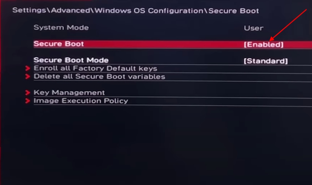 Secure boot enabled