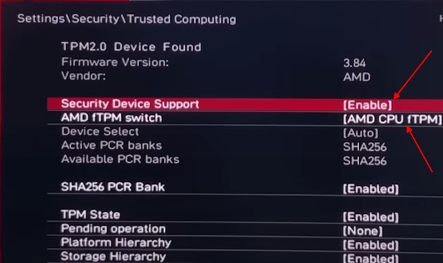 TPM Enable option in BIOS