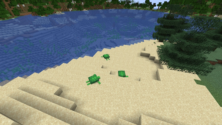 Beach biome covered with turtles, who you can breed in Minecraft