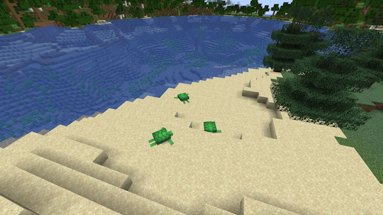 Biome De Plage Couvert De Tortues, Que Vous Pouvez Élever Dans Minecraft