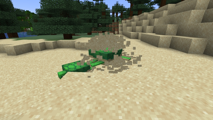 After breeding, one turtle will start digging and laying eggs in Minecraft