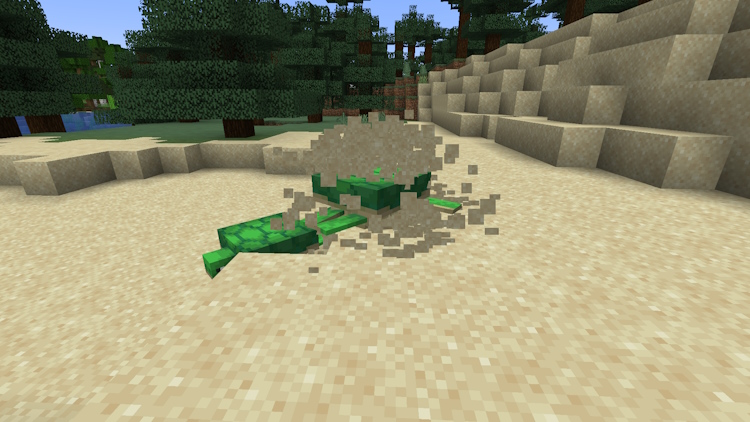 Après La Reproduction, Une Tortue Commencera À Creuser Et À Pondre Des Œufs Dans Minecraft