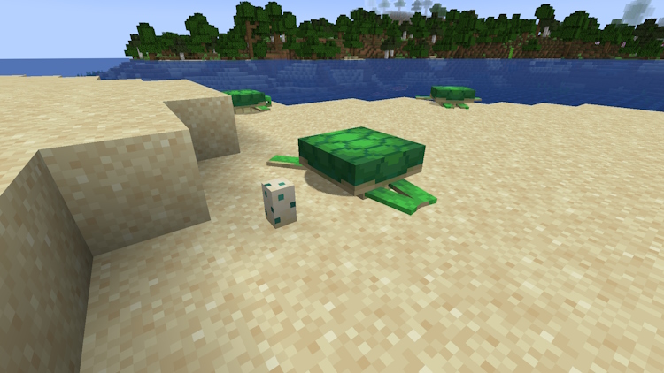 How To Hatch Turtle Eggs In Minecraft Beebom