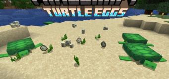 Turtles and turtle eggs on a beach in Minecraft