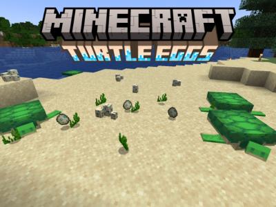 Turtles and turtle eggs on a beach in Minecraft
