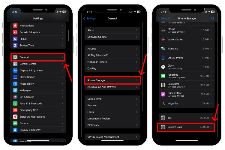 View System Data on iPhone