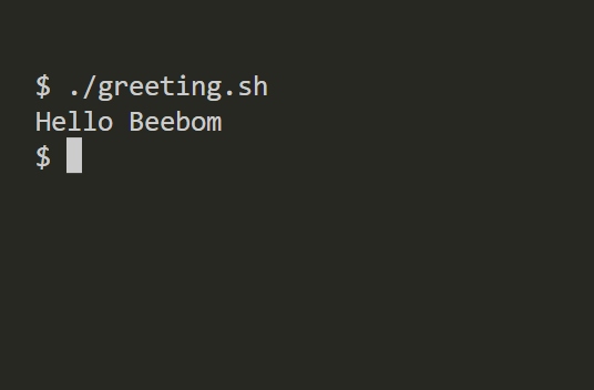 viewing the output of passing custom arguments to the bash function