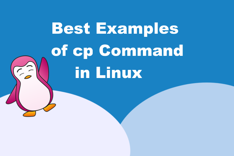 8 Best Examples Of Cp Command In Linux | Beebom