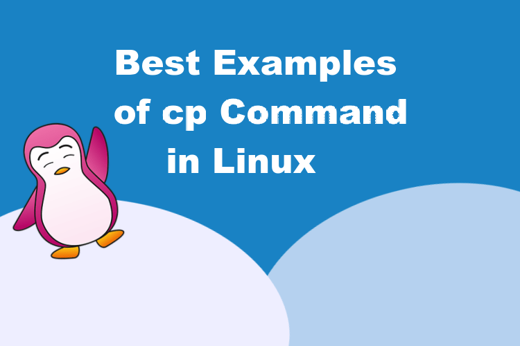 featured image for best example of cp command in Linux