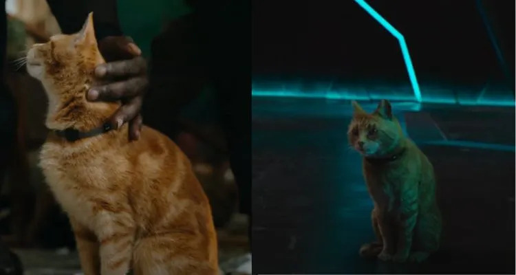 Cats trailer, cast, release date and more