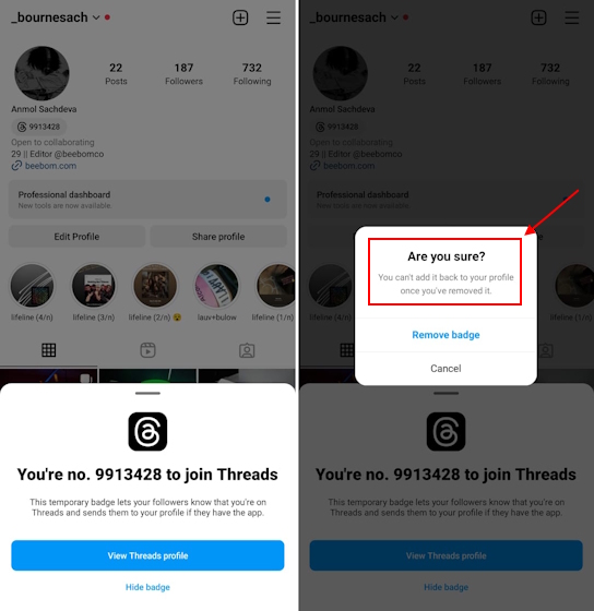 how to remove threads from instagram bio