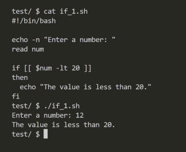 using the if as conditional statement in a Linux bash script to check if the number netered is less than 20