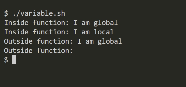 viewing the output of local and global variables in bash function via the Linux shell