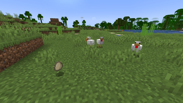 Chickens and an egg item