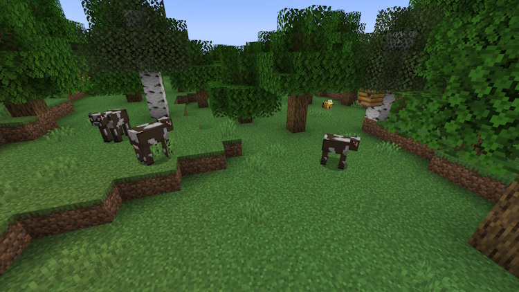 Cows in a forest biome