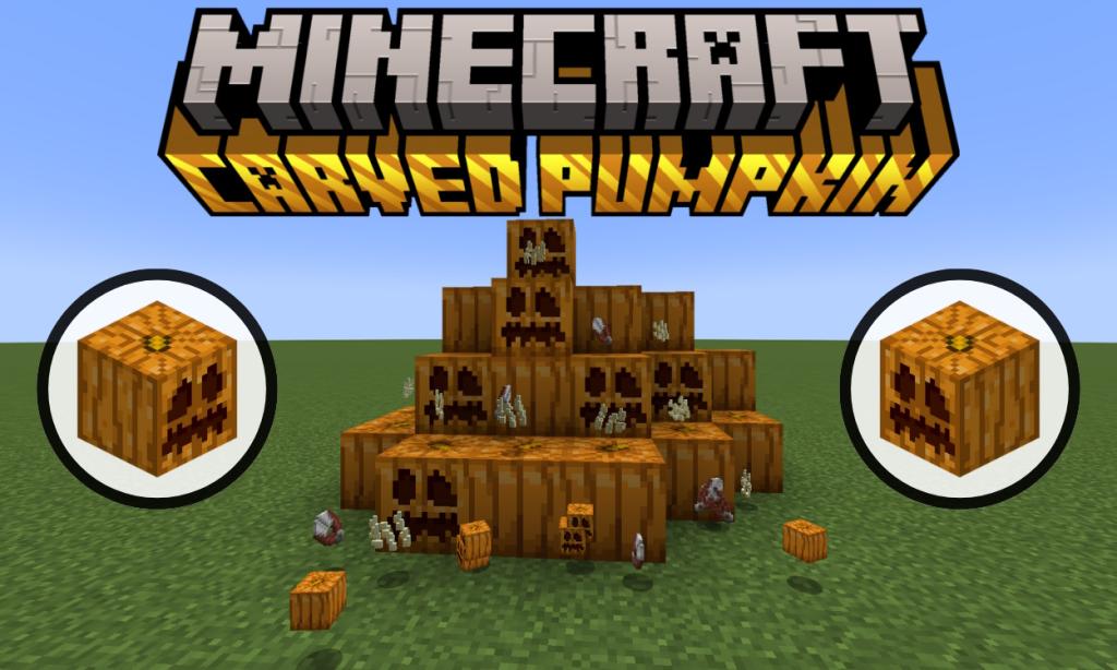 Regular and carved pumpkins with plenty of shears and pumpkin seeds around them in Minecraft