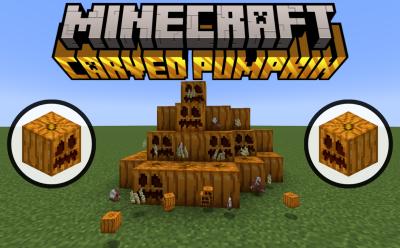 Regular and carved pumpkins with plenty of shears and pumpkin seeds around them in Minecraft