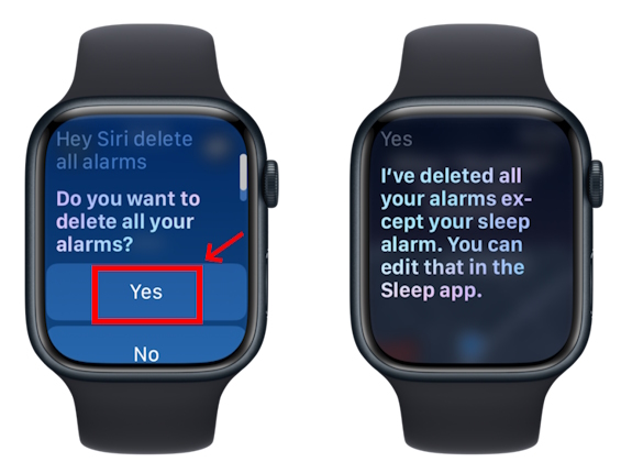 Iphone alarm apple discount watch