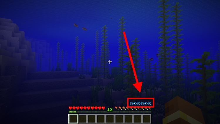 How to Get and Use Heart of the Sea in Minecraft | Beebom