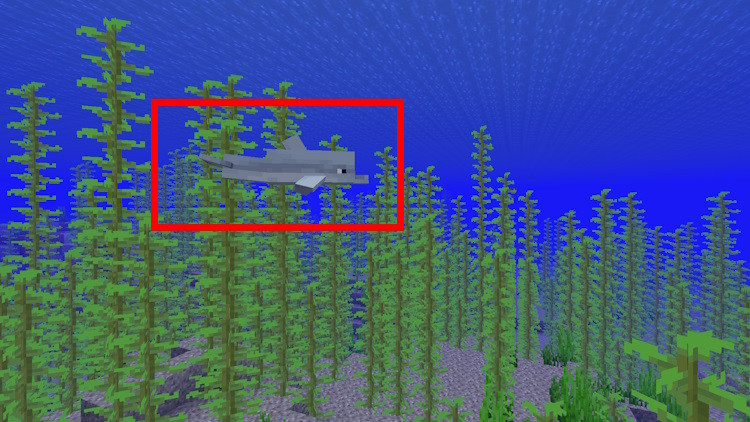 Dolphin in Minecraft