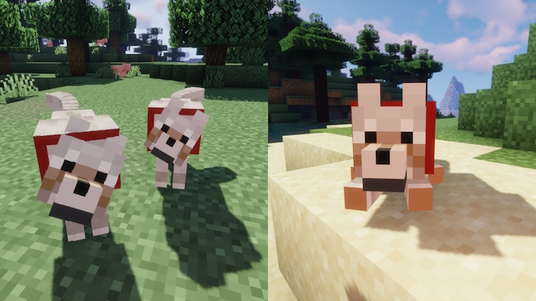 Amazing Mods to Improve Player Animations - Minecraft Forge & Fabric 