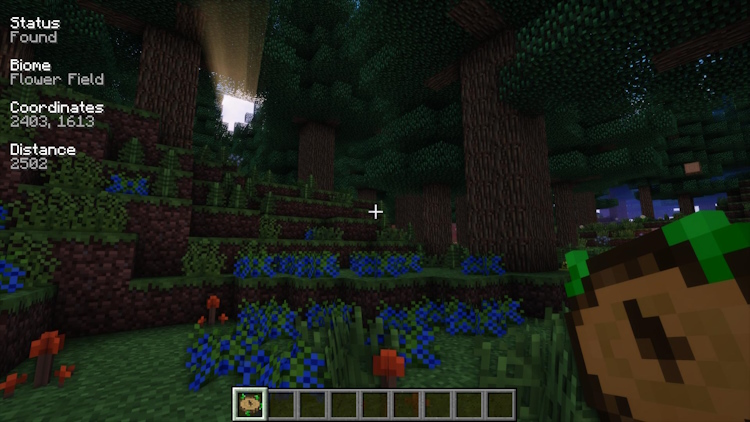 Nature's Compass Mod in Minecraft