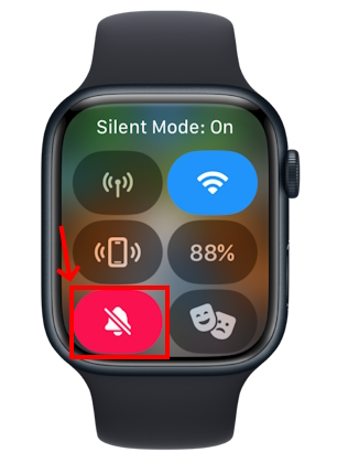 Put an Apple Watch on Silent Mode