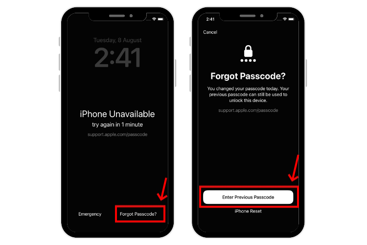 Unlock 'Support Apple com iPhone Passcode' [5 Ways]