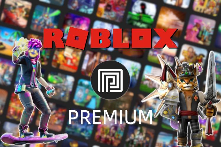 Roblox प्रीमियम चित्रित छवि
