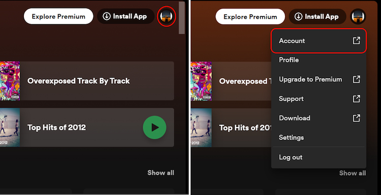 Spotify Web Player Not Working? Try these 8 Fixes!