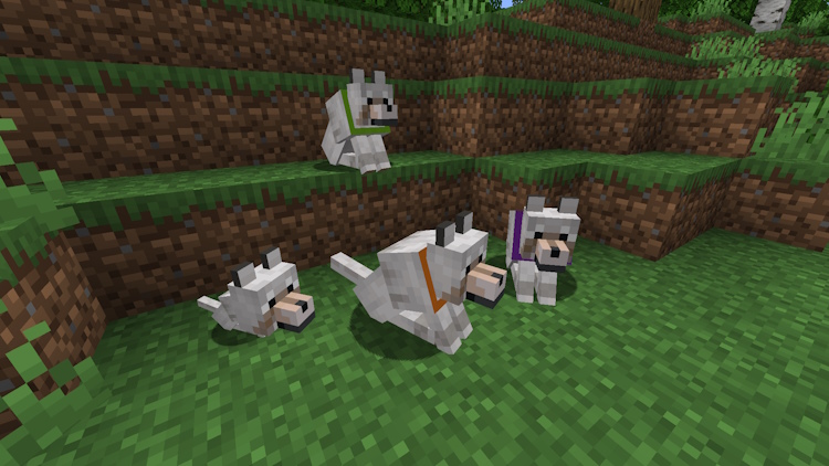 Different colored collars of tamed wolves or dogs in Minecraft