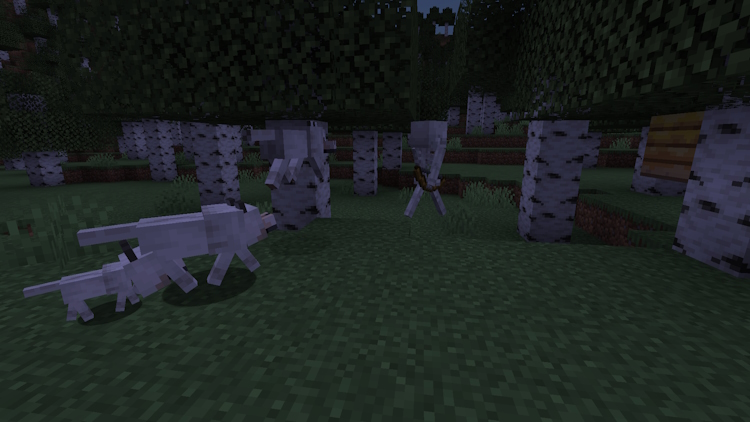 Tamed wolves attacking a skeleton