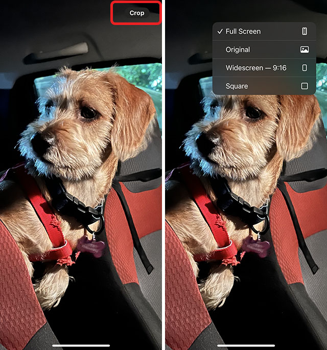 adjust crop aspect ratio