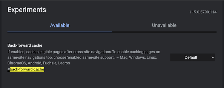 back forward cache chrome flag