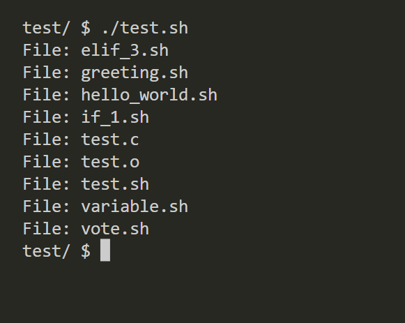 printing all file names with bash script