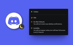 discord idle status meaning