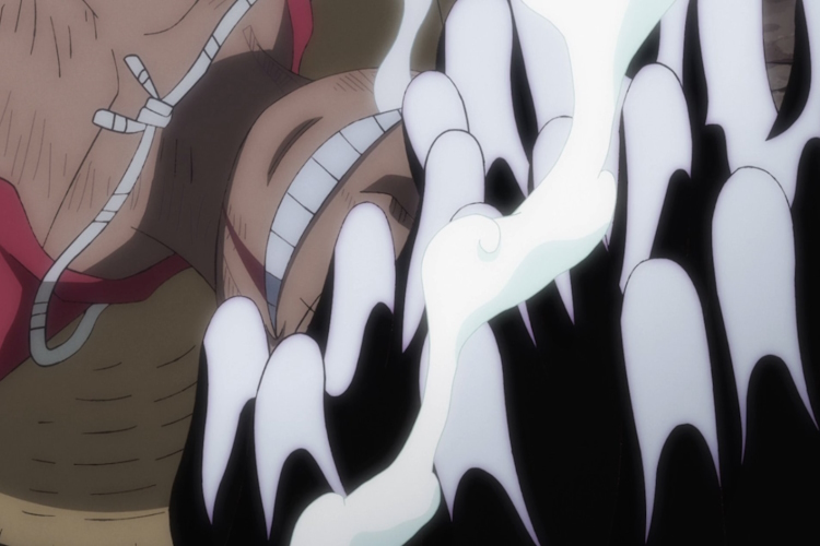 One Piece: Nico Robin's Devil Fruit, Explained