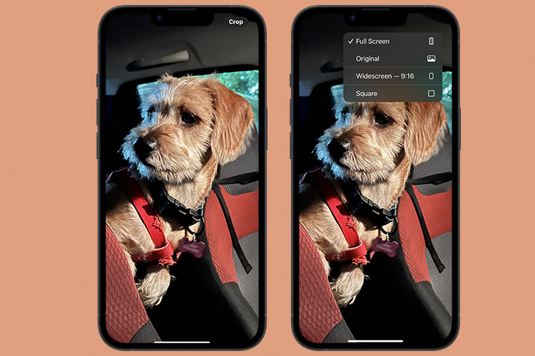 How to Use Quick Crop in Photos App on iPhone

https://beebom.com/wp-content/uploads/2023/08/how-to-use-quick-crop-in-photos-app-on-iphone-featured.jpg?w=750&quality=75