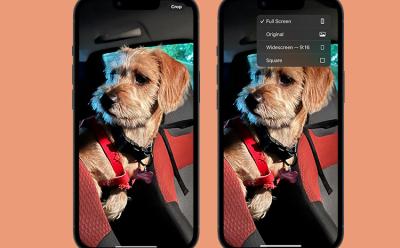 how to use quick crop in photos app on iphone featured