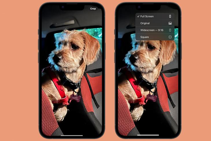 how to use quick crop in photos app on iphone featured