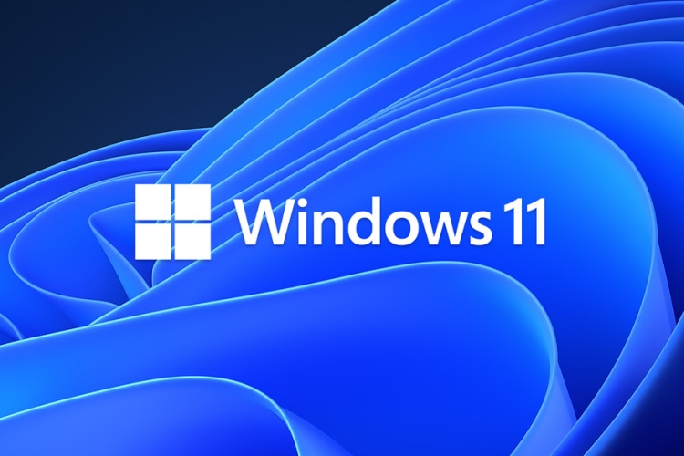 Create Windows 11 Virtual Appliance using Tiny 11 with only 2GB memory