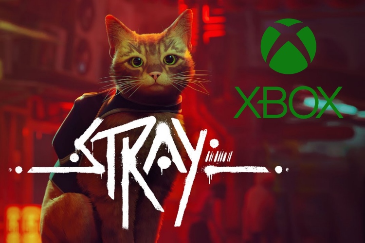 Stray, o jogo do gato, é anunciado para Xbox com data de lançamento e  trailer - Windows Club