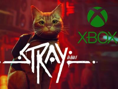 stray launch feat image