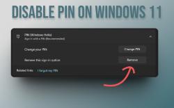 disable pin on windows 11