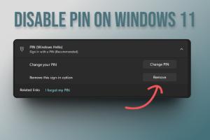 How to Remove PIN (Greyed Out) from Windows 11