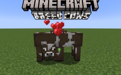 Cows breeding in Minecraft