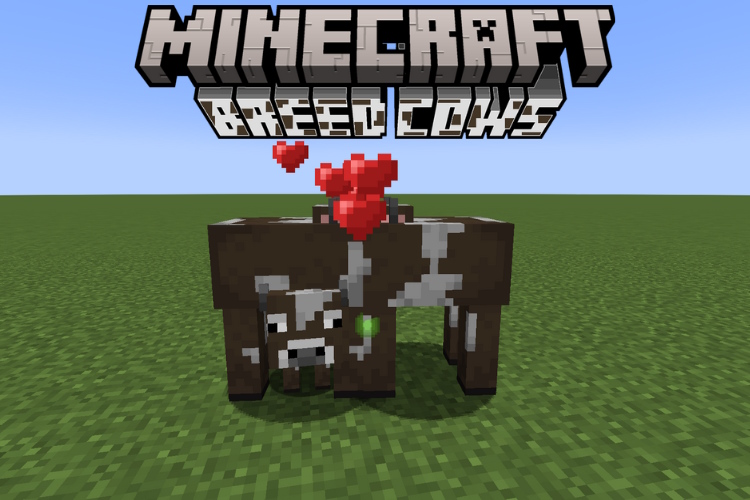 How to Breed Cows in Minecraft (Easy Guide)

https://beebom.com/wp-content/uploads/2023/09/Breed-Cows-Minecraft-featured-image.jpg?w=750&quality=75